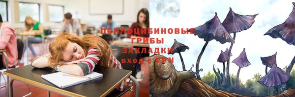 первитин Белоозёрский