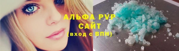 дживик Аша