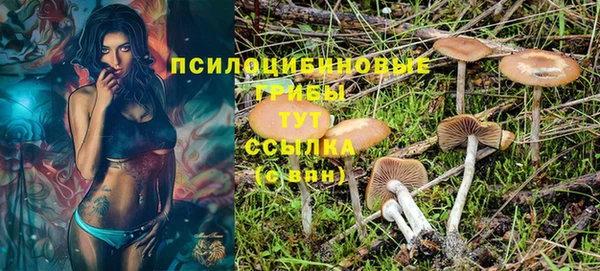 первитин Белоозёрский