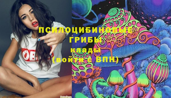 стафф Беломорск
