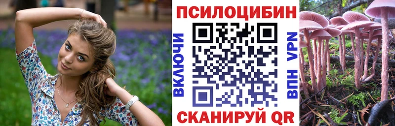 мега вход  Богучар  Галлюциногенные грибы Psilocybine cubensis 